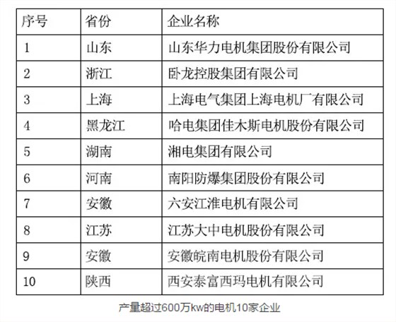 產量超過600萬kw的電機10家企業(yè)