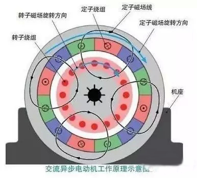 汽車(chē)電機(jī)